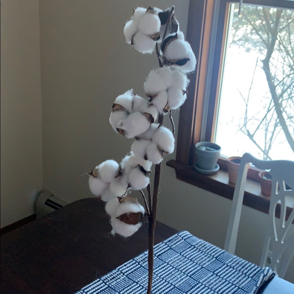 White Cotton Vase Filler